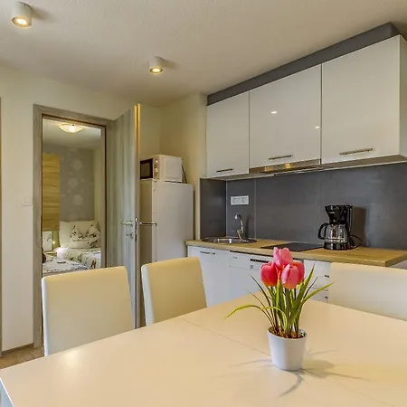 Guest house Mobile Rojnic