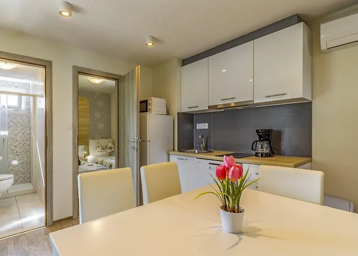 Gostinjska kuća Mobile Rojnic